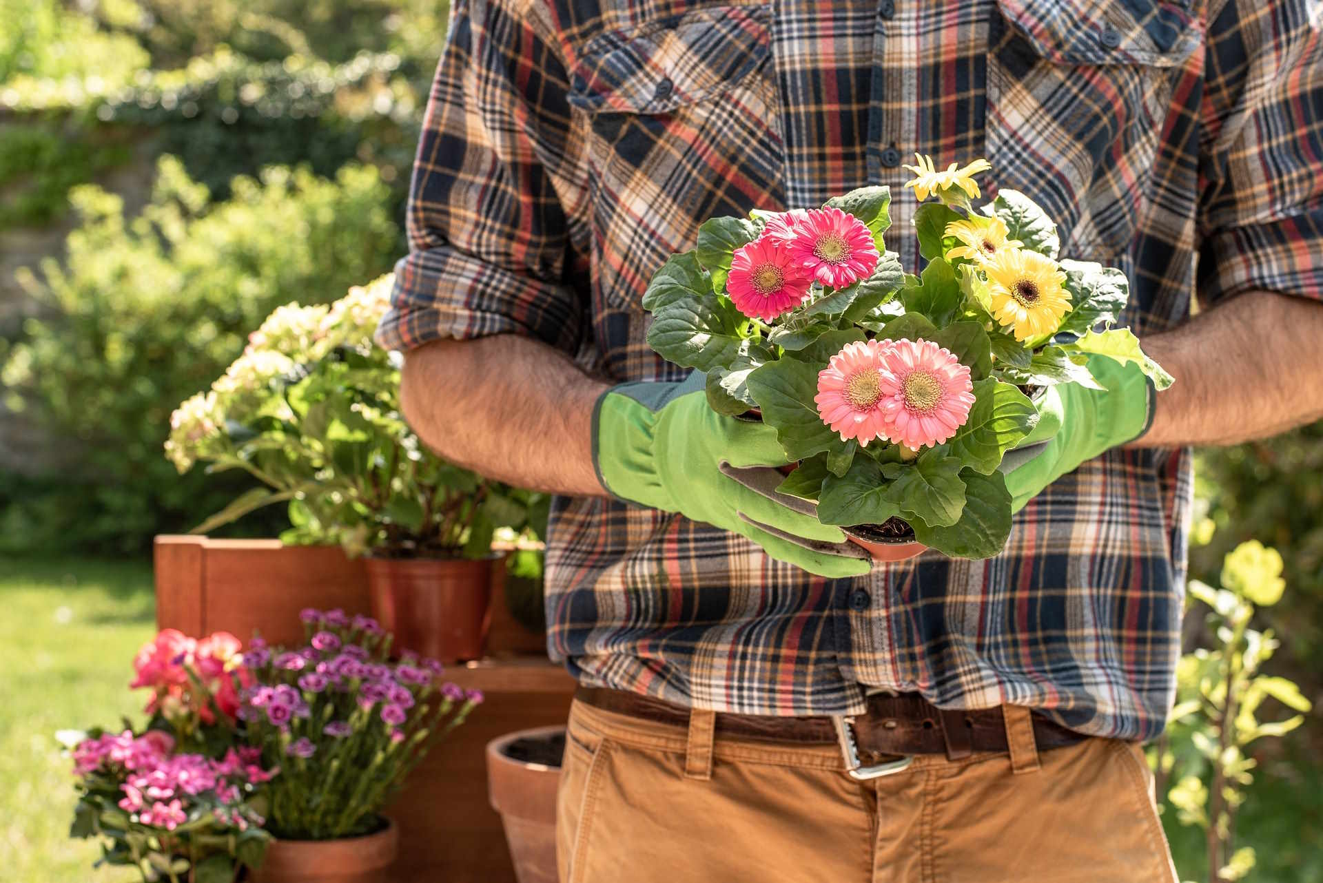 Cultivate Your Garden: Tips for Gardening Tools Promotions